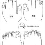手足の井穴図