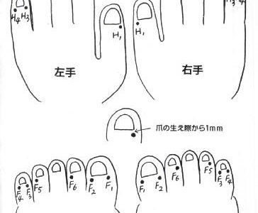 手足の井穴図